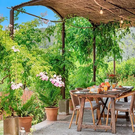 Ferienhaus Coster Puig *